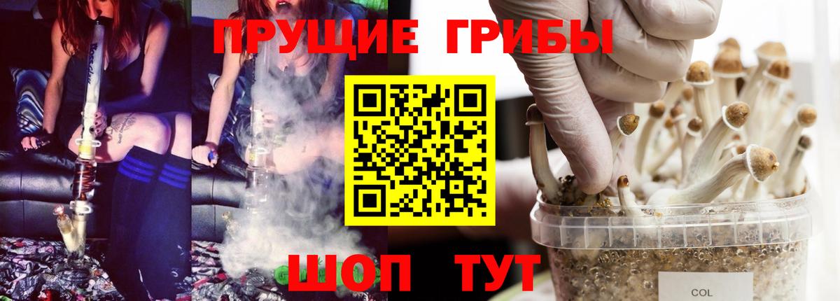 Галлюциногенные грибы GOLDEN TEACHER  Вход с VPN  Южно-Сахалинск 